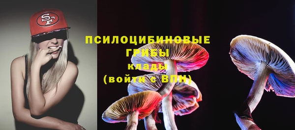 прущая мука Ельня