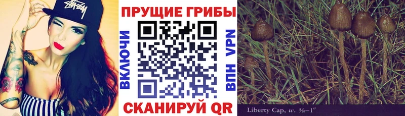 сколько стоит  Чапаевск  Галлюциногенные грибы Magic Shrooms 